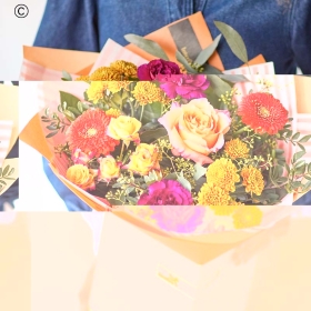 Autumn Flowers