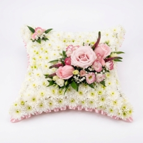 Cushion   Loose