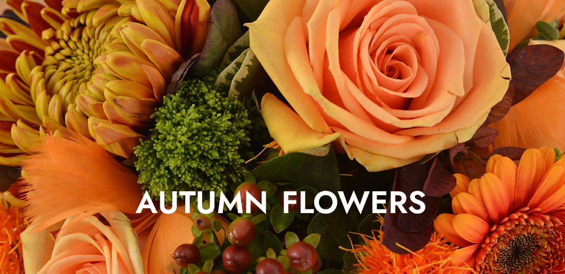 Florist Torquay Devon The Flower Corner 01803 293779